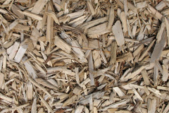biomass boilers Pitcorthie